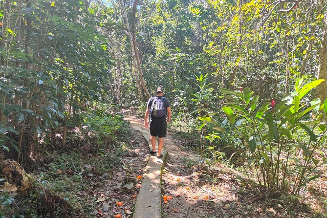 16 Lines Zipline, Cave, Hiking & Biausevu Waterfall Combo Tour - Who will enjoy this Coral Coast combination?