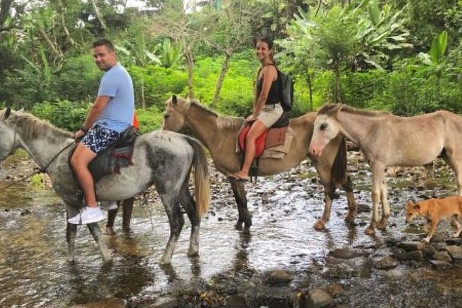 Authentic Fijian Day Tour - Rugby and wildlife stops add variety