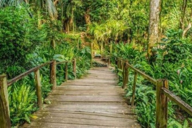 Best of Fiji Tours: 3 Days Package - What the price covers, and where it does not