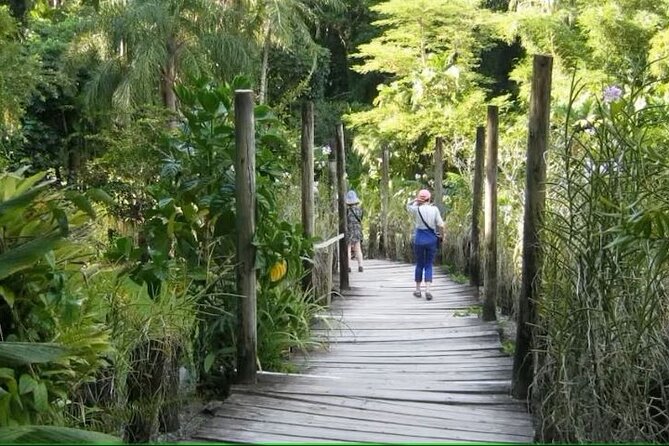 Best of Nadi Highlights - Tifajek Mud Pool and Hot Spring: finish with mud and warm water