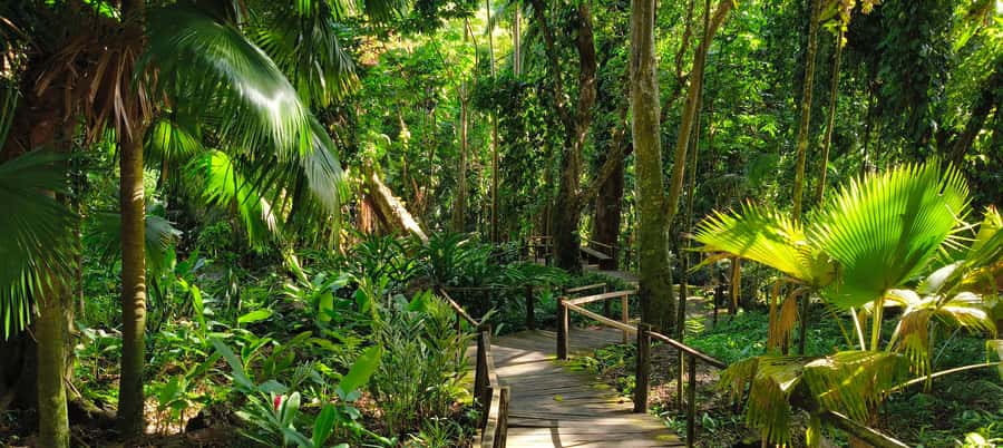 Best of Nadi Highlights - What to bring and what to wear