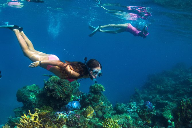 Capt Cook Cruises Super Saver Combo: Day Sail + Dinner Cruise - Two cruises, two very different moods