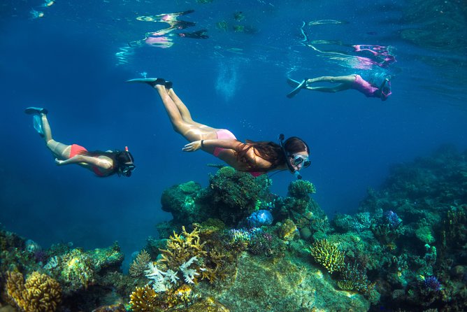Captain Cook Cruises Fiji - Island and Reef Day Cruise - Sailing from Port Denarau to Kadavu Lailai
