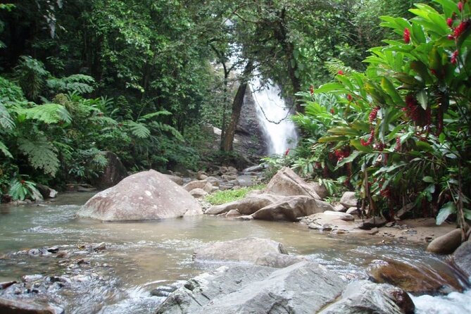 ''Coral Coast Adventure: Biausevu Waterfall & Natadola Beach !'' - Walking through the rainforest to Biausevu Waterfall