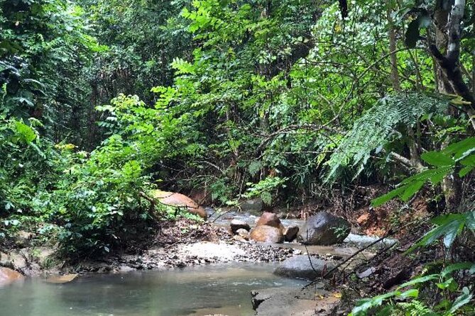 ''Coral Coast Adventure: Biausevu Waterfall & Natadola Beach !'' - Who will enjoy this day most