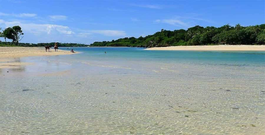Coral Coast Adventure: Biausevu Waterfall & Natadola Beach - Is $139 a fair price?