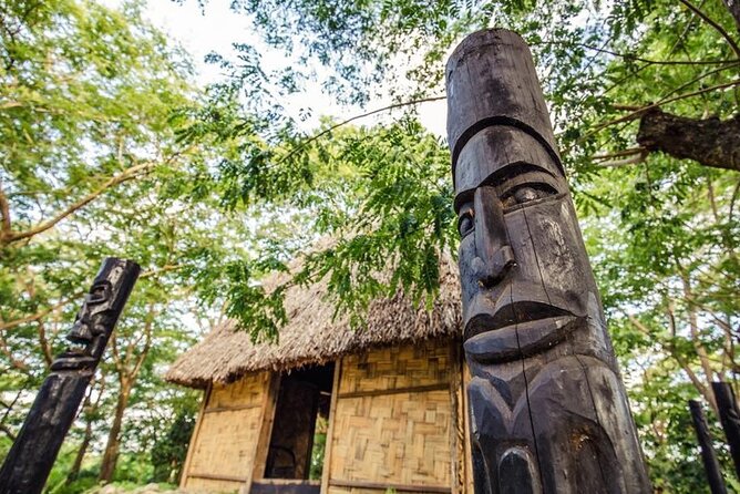 Cultural Day Tour - The kava ceremony from 11:40 a.m.