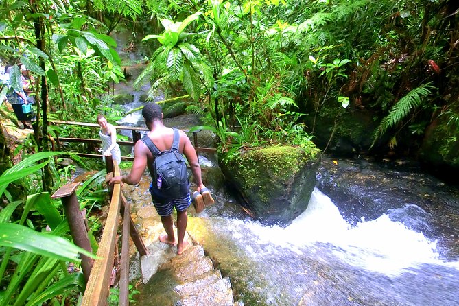 Customized Suva day tour - Key things to know before you book