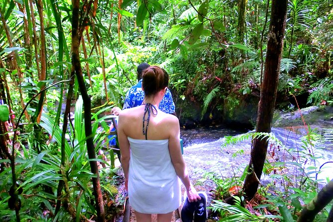 Customized Suva day tour - What the guides add to a short visit