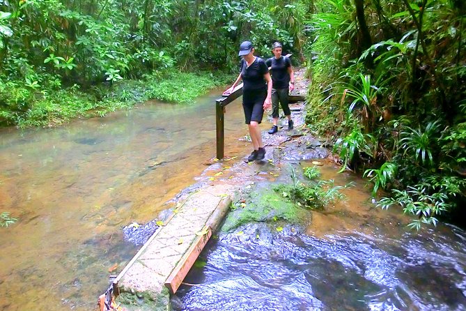 Customized Suva day tour - Is $91.36 per person good value?