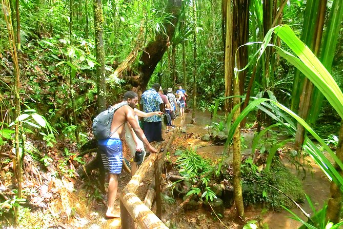Customized Suva day tour - Weather, comfort, and practical preparation