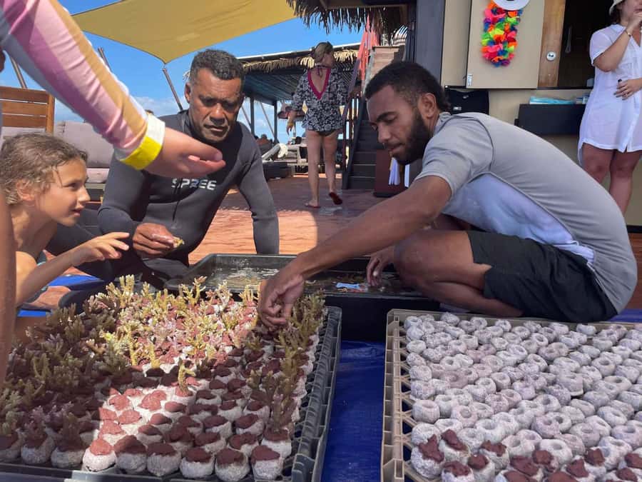 Denarau: Seventh Heaven Floating Bar Day Trip - Practical planning for a smoother day