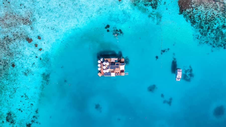 Denarau: Seventh Heaven Floating Bar Day Trip - Finding your place on the pontoon