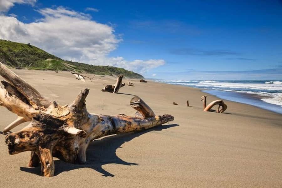 Discover Fijian Culture and Reptiles - A full day beyond Fiji’s resort strip