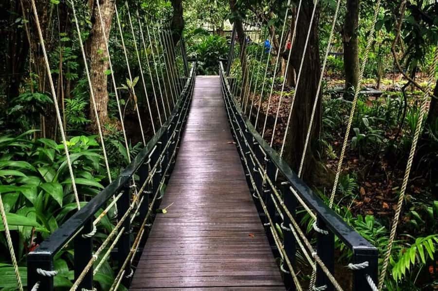 Discover Fijian Culture and Reptiles - Walking the Sigatoka Sand Dunes