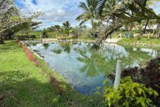 Discover Mud pool/Hot -Spring Nadi - Facilities and what to bring