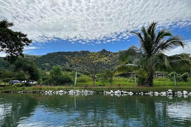 Discover Mud pool/Hot -Spring Nadi - Who will enjoy this tour most?