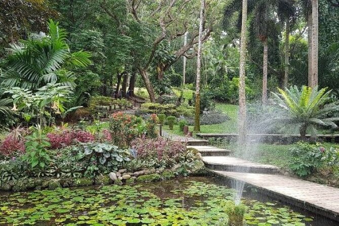 Discover Mud pool/Hot -Spring Nadi - Weather, cancellation, and timing