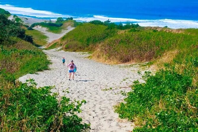 Discover Nadi Tour - Is $86.24 a fair price?