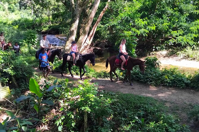 Fiji Adventure: Biausevu Waterfall & Dunes hiking Combo Tour! - Kava, school visits, and local connection