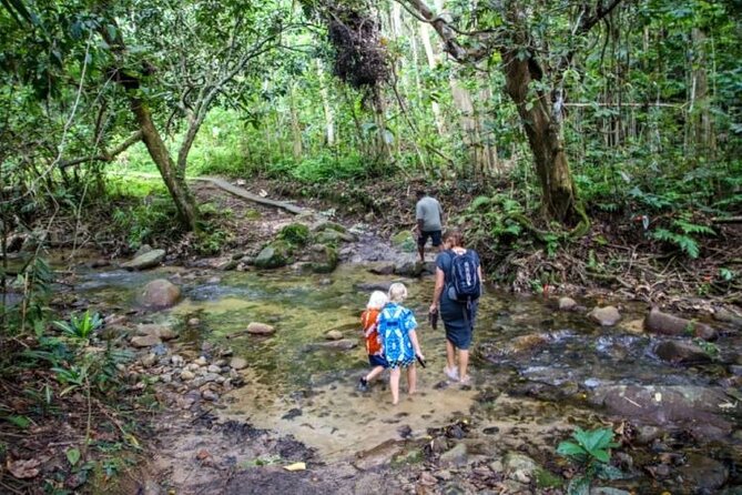Fiji Adventure: Biausevu Waterfall & Dunes hiking Combo Tour! - What the $139.70 price includes