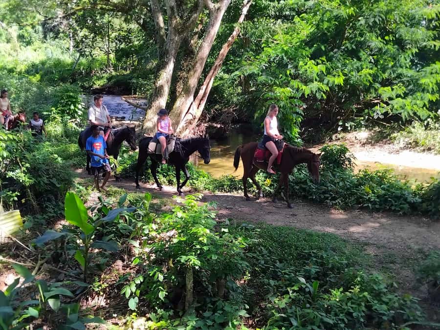 Fiji Biausevu waterfall & Village Tour - What happens at Biausevu