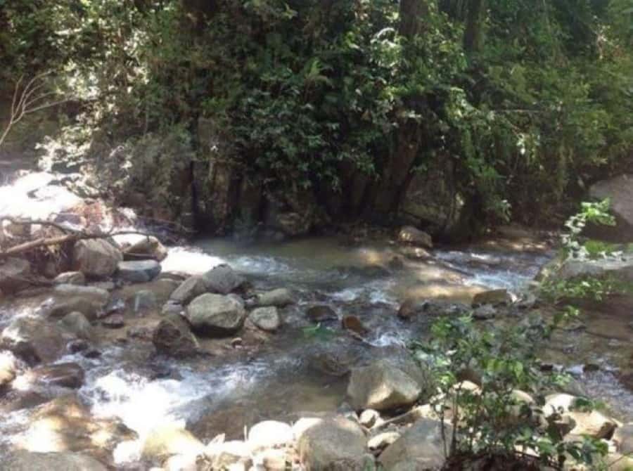 Fiji Biausevu waterfall & Village Tour - Is $119 a fair price?