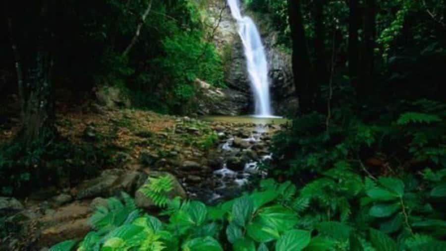 Fiji Biausevu waterfall & Village Tour - Who will enjoy this Fiji day trip?