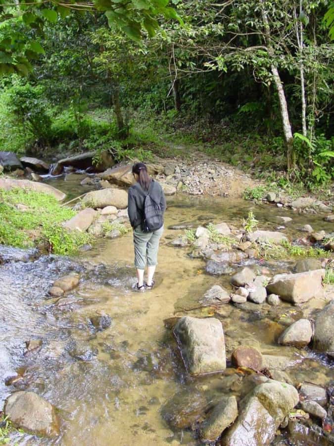 Fiji Biausevu waterfall & Village Tour - Should you book Biausevu Waterfall and Village Tour?