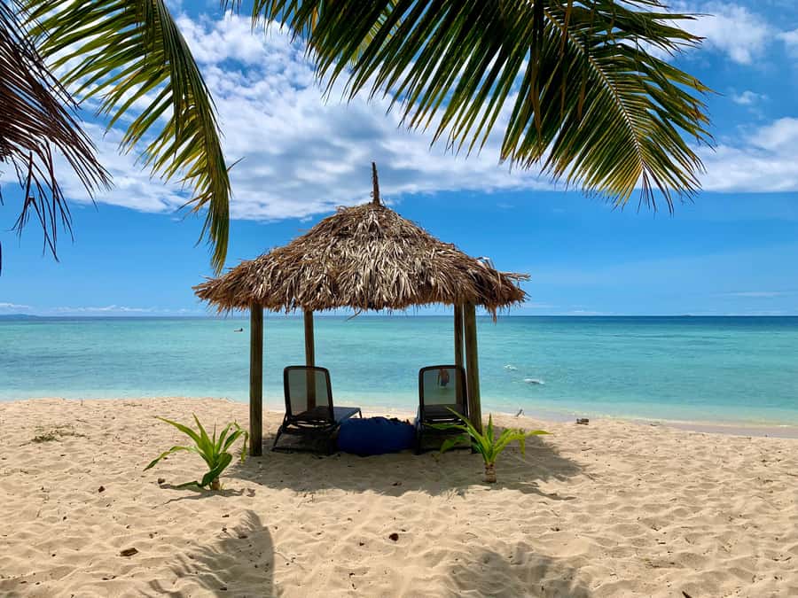 Fiji: Captain Cook Cruises - Island & Reef Day Trip - Reef time with the marine team