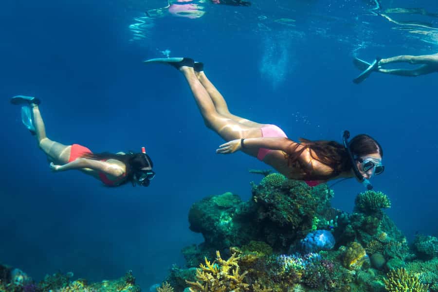 Fiji: Captain Cook Cruises - Island & Reef Day Trip - Who will enjoy this most