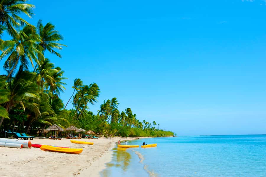 Fiji: Cultural Island Adventure & Jungle Cruise Experience - Heat, insects and practical comfort