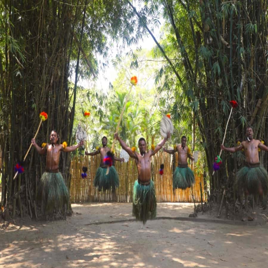Fiji: Cultural Village Evening Tour with Dinner and Show - Is the $76 price good value?