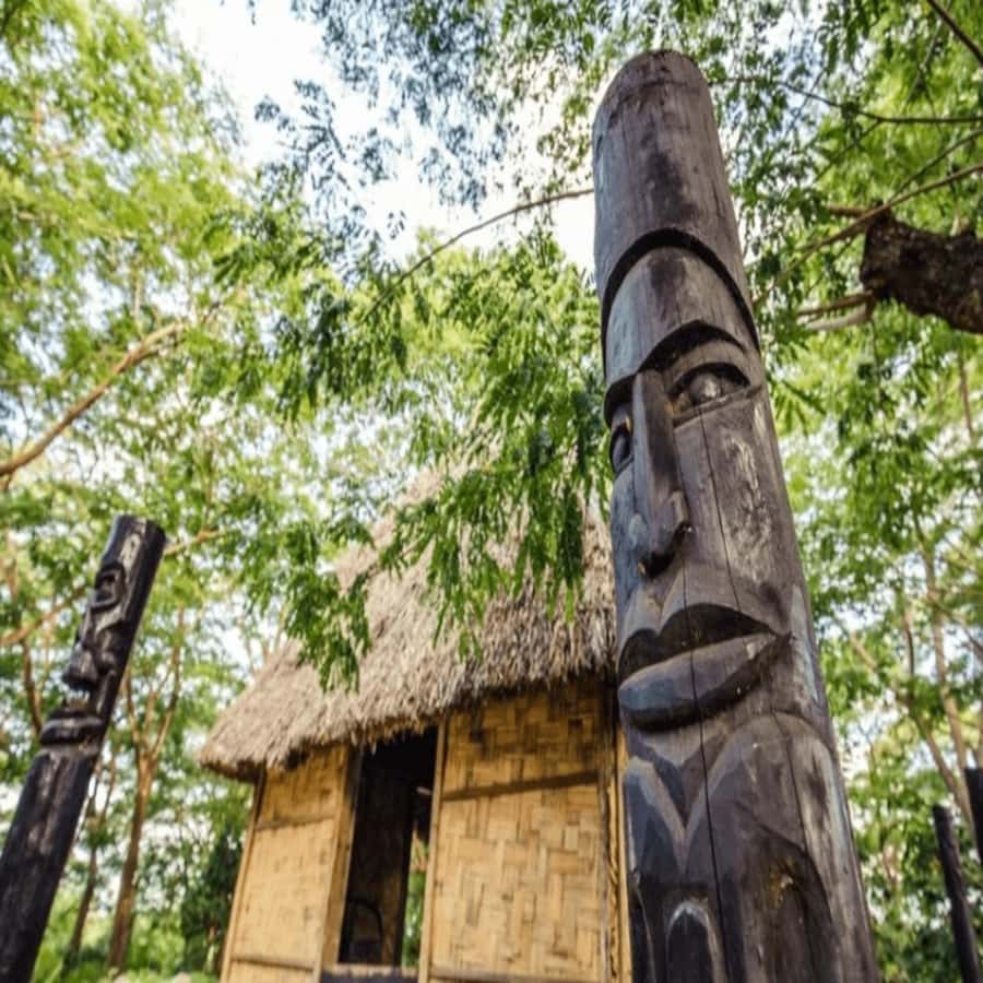 Fiji: Cultural Village Evening Tour with Dinner and Show - Entering the village after sunset