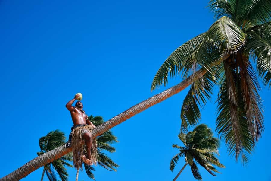 Fiji: Day and Night Combo Tour - River travel and the mud-crab search