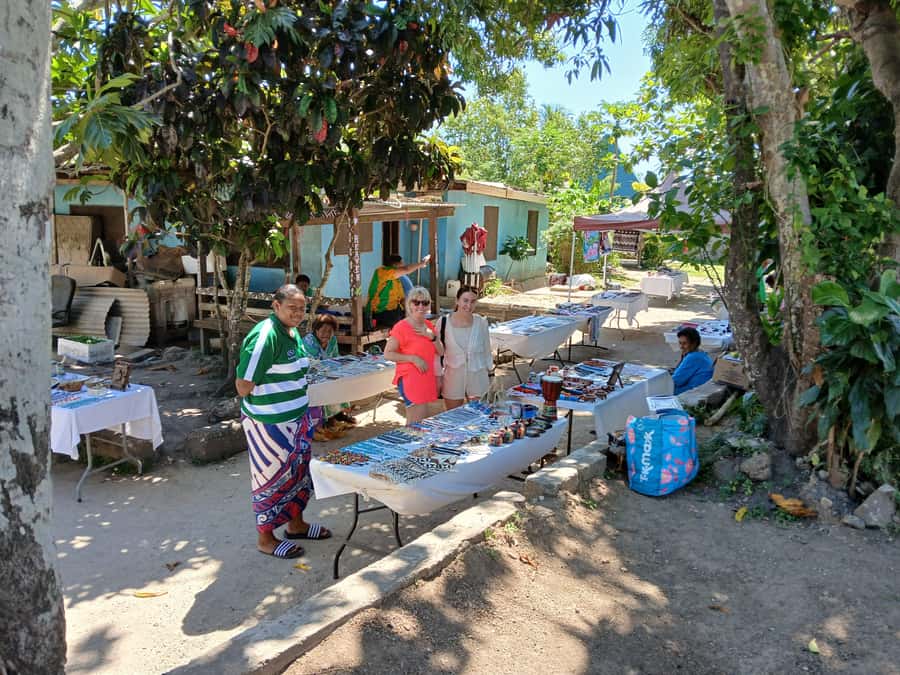 Fiji: Discover Nadi with Sabeto Hotspring and Mudpool Tour - Viseisei village and the limits of the calendar
