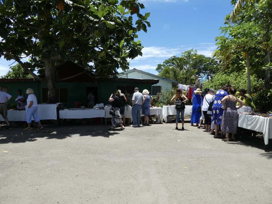 Fiji: Discover Nadi with Sabeto Hotspring and Mudpool Tour - Orchids at the Garden of the Sleeping Giant