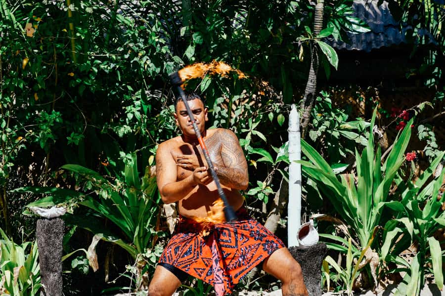 Fiji: Full Day Cultural Island Tour with Lunch & Cruise - Cooking, crafts, and the medicine bush walk
