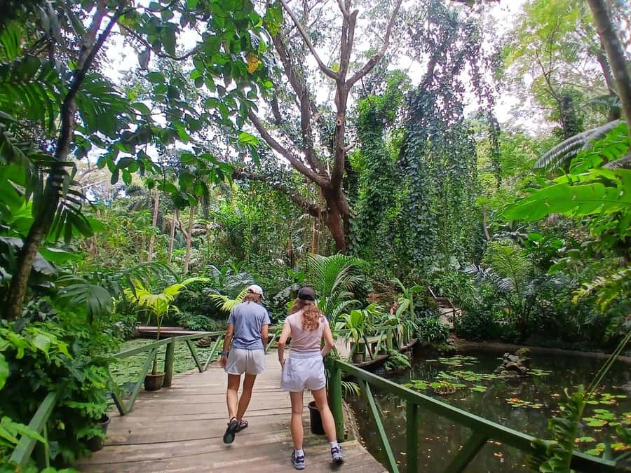 FIJI: Garden of the Sleeping Giant Tour - Why this garden makes a good half-day from Nadi