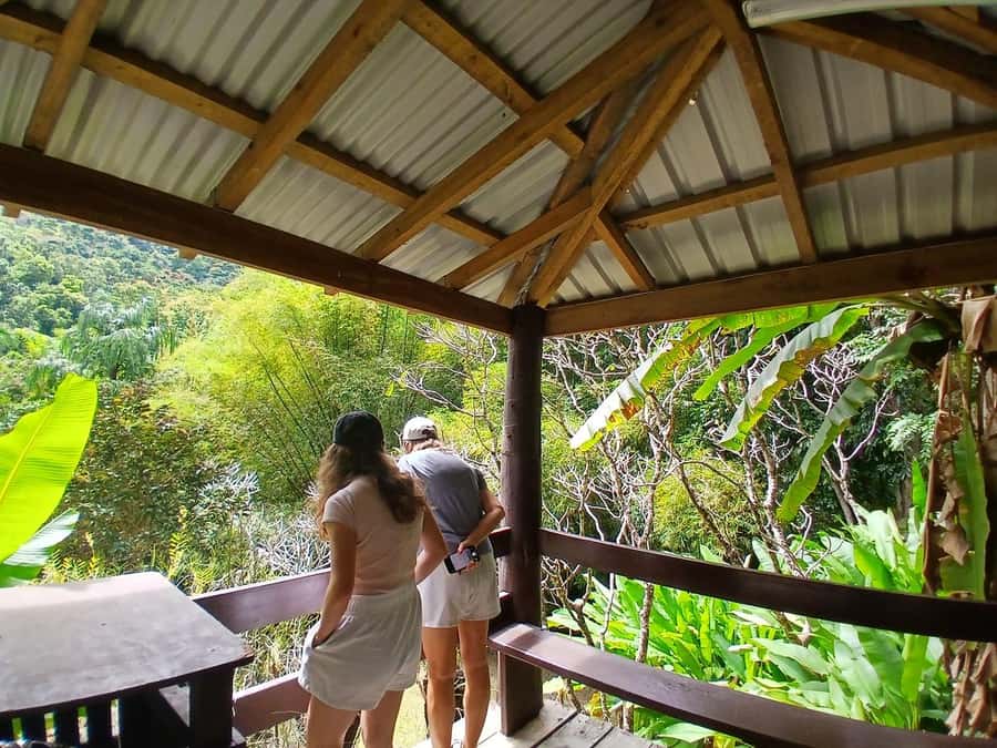 FIJI: Garden of the Sleeping Giant Tour - The lookout and the Sleeping Giant view