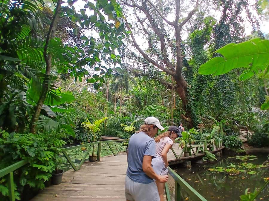 FIJI: Garden of the Sleeping Giant Tour - Nadi and resort transfers