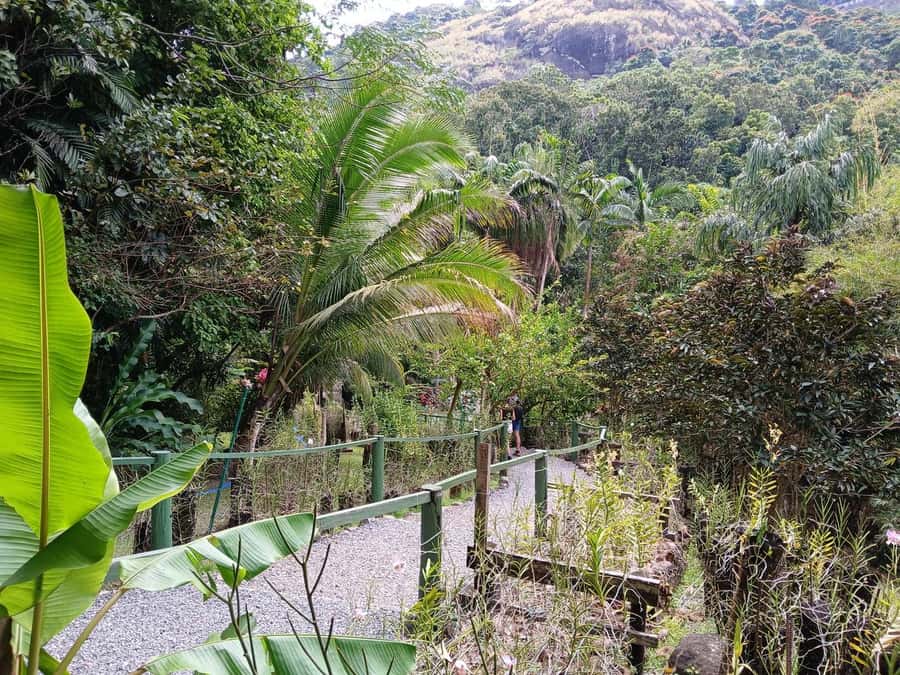 FIJI: Garden of the Sleeping Giant Tour - Who will enjoy the Garden of the Sleeping Giant?