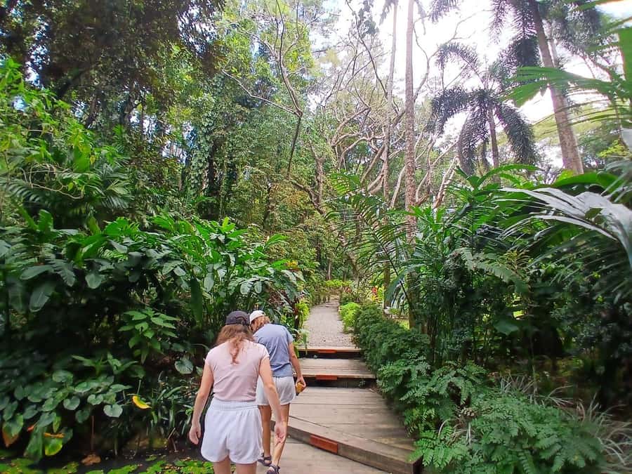 FIJI: Garden of the Sleeping Giant Tour - Should you book it?