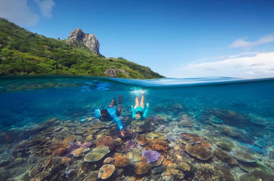 Fiji: Kuata Island Marine Conservation Experience Full Day - Meeting the marine biologist at Barefoot Kuata