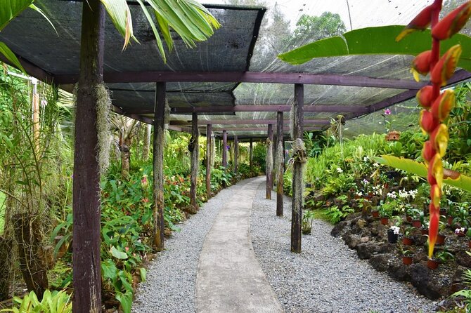 Fiji Lautoka Shore Excursions Tour - What the guide service adds to the experience