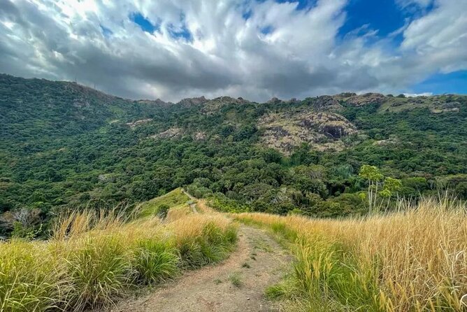 Fiji Lautoka Shore Excursions Tour - The Garden of the Sleeping Giant and its orchid collection