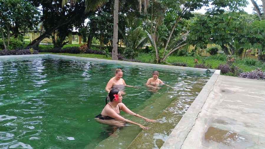 FIJI-NADI: Sabeto Tifajek Hot Spring and Mudpool Tour - The 2.5-hour visit, step by step
