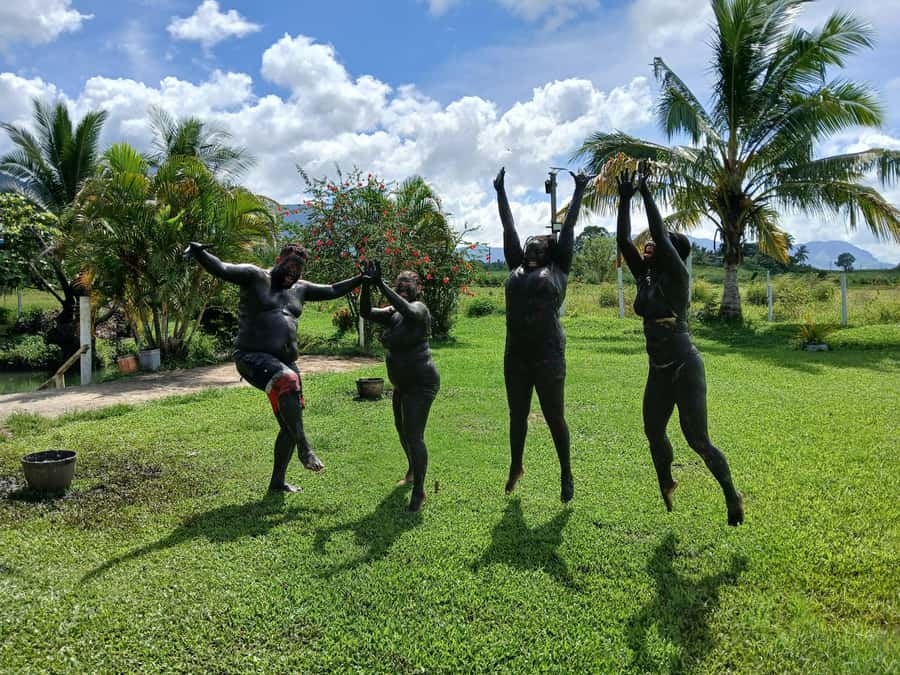 Fiji: Nadi Tour with Tifajek Mudpool and Hotspring Visit - What about the waterfall and zip-line description?