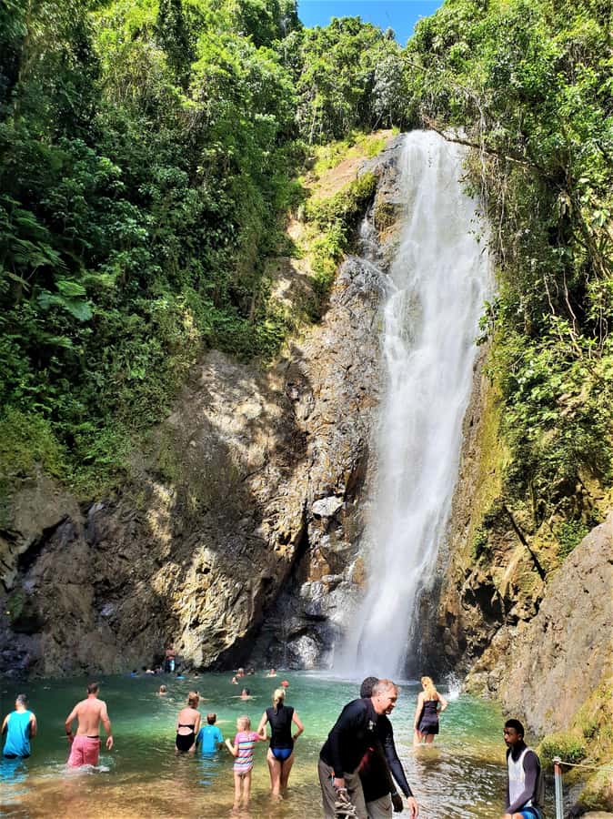 Fiji: River Tubing Adventure with Lunch - Why the Navua River makes a fine day out