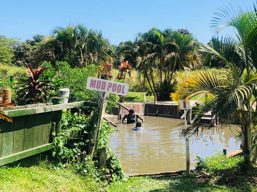 FIJI: Sabeto Hotspring & Mudpool Tours, Tickets & Transfers - The drive through Sabeto Valley